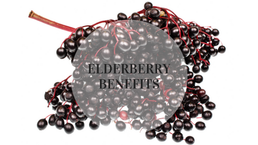 Elderberry Benefits: How This Superfood Can Boost Your Health