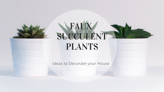 Faux Succulent Plants – Ideas to Decorate your House