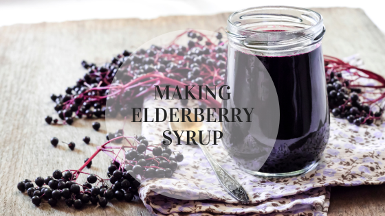 Making Elderberry Syrup Recipe: Boost Immunity with Homemade Elder Syrup