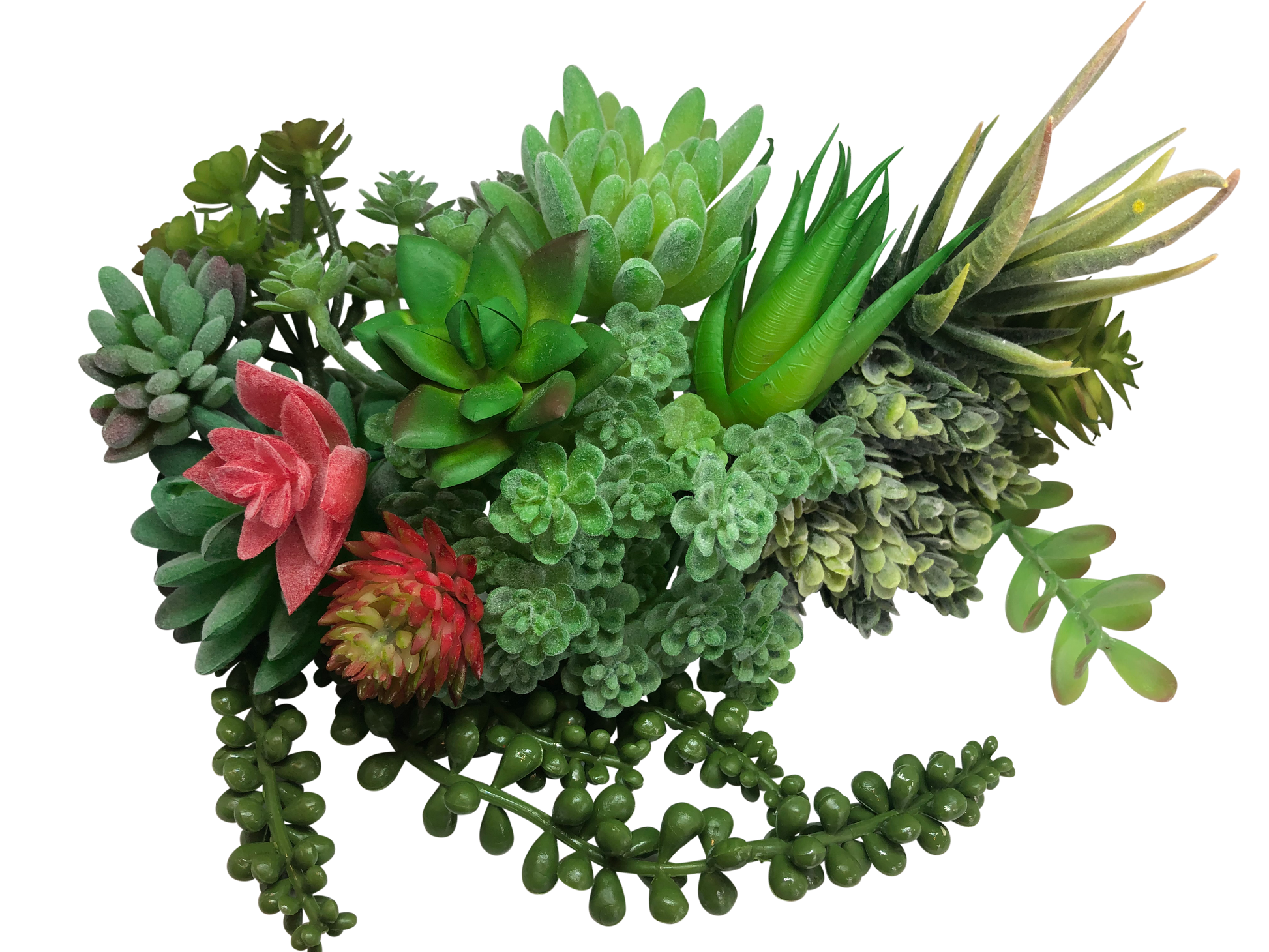 flocked succulents DELUXE Pack of 15 Artificial Succulent Plants in Flocked Green for Decoration