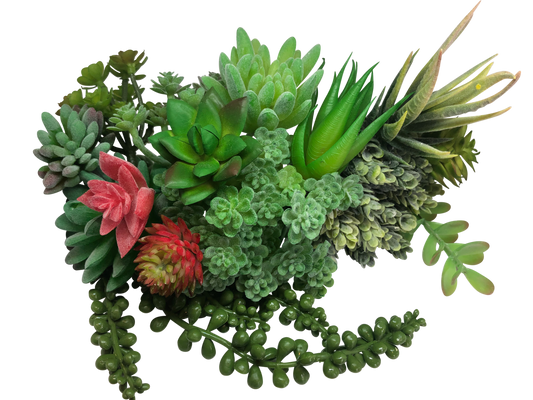 DELUXE Pack of 15 Artificial Succulent Plants in Flocked Green for Decoration
