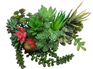 DELUXE Pack of 15 Artificial Succulent Plants in Flocked Green for Decoration